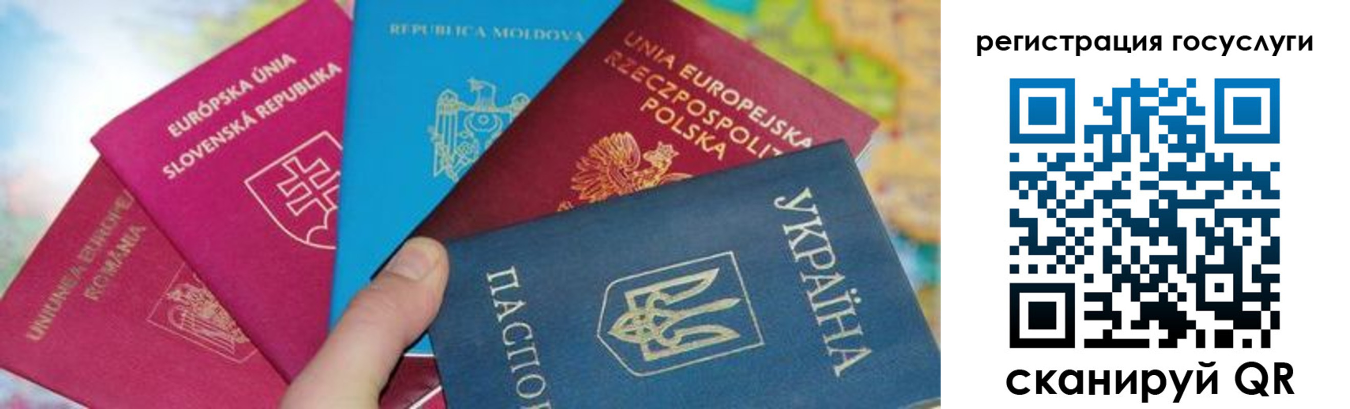 прописка гарантия в Красноярском крае